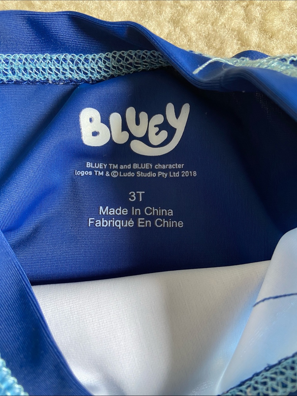 Bluey Kids Long-Sleeve Rash Guard Set - Picture 6 of 6